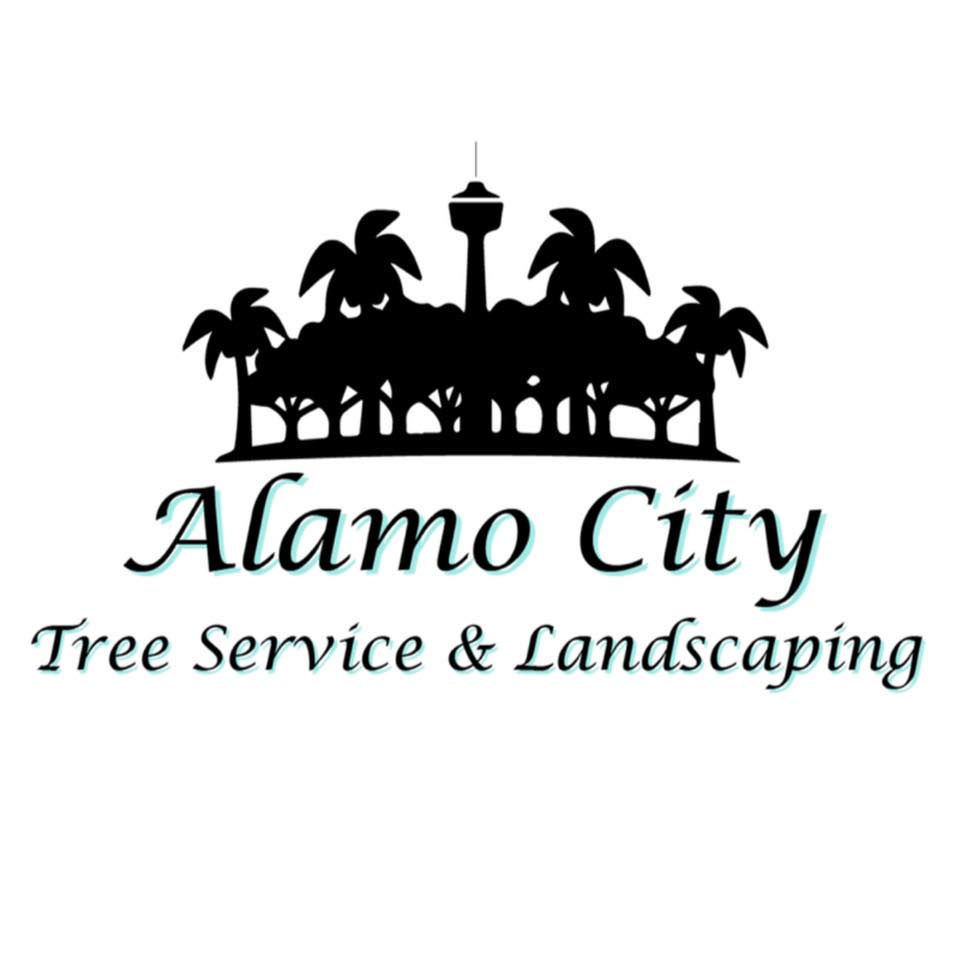 alamocitytreeservice